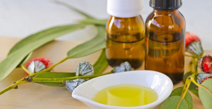 Oil of lemon eucalyptus is a natural mosquito repellent.