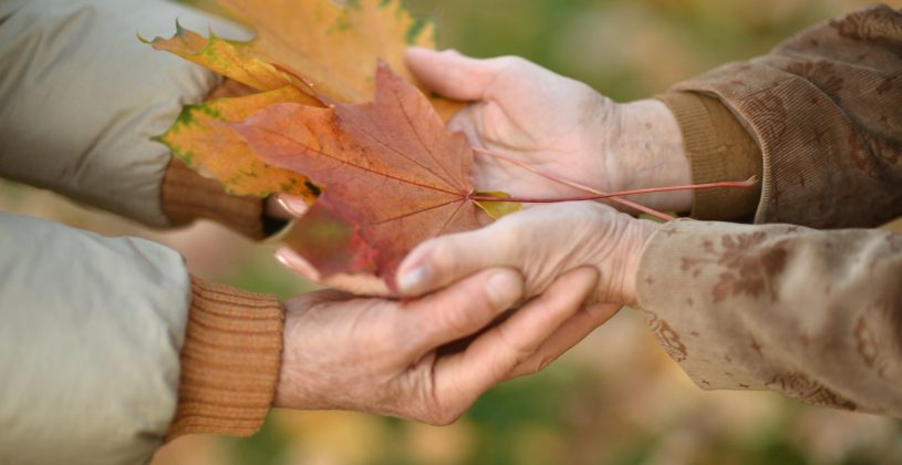 close up of two seniors holding hands and gathering fall leaves